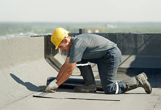 Best Attic Insulation Installation  in Florida, NY
